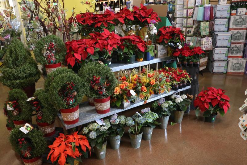 flower stand
