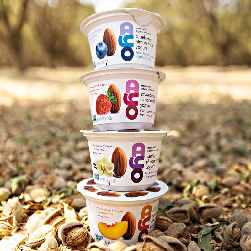 ayo yogurt
