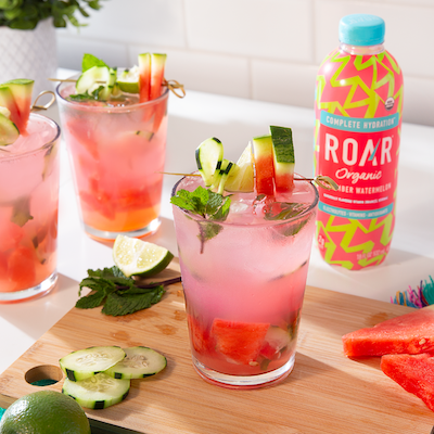 CUCUMBER WATERMELON MOCKTAIL