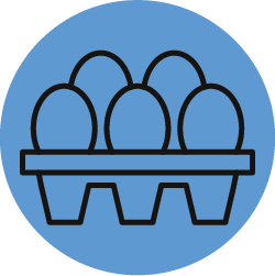 Eggs