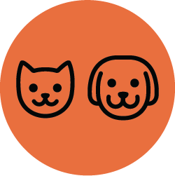Cat and Dog